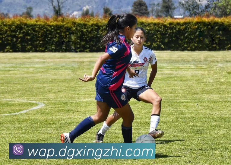 leyu乐鱼在线登录入口APP 高清赛事图